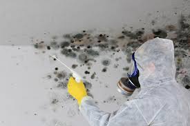 Best Air Quality Testing for Mold Spores  in Whitehouse, OH